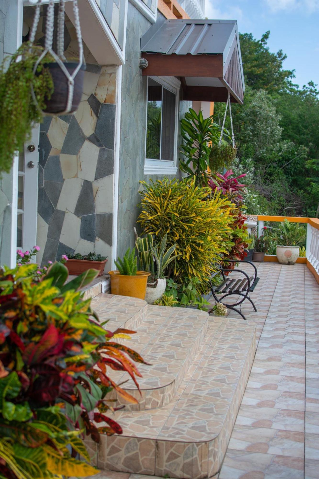 Mountain View Apartments Gros Islet Bagian luar foto